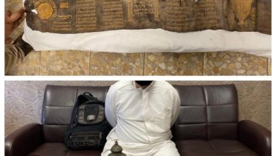 912102020 7da5a302 109c 4aba 8f11 a139aa70b663