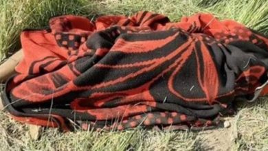 99E8057A 5139 4766 B004 92778B2B30E6