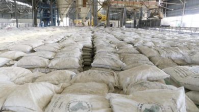 9C044C0B 5279 40CC 8E54 7426FBAF0E87