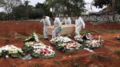 9C0C2906 7648 441A A556 7FDA66905162