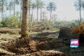 A7616187 F59E 4A0C 8282 D471E062FEDF