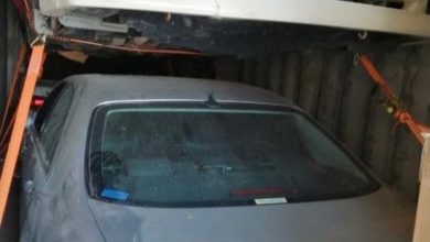 B6F9403D 56CA 4318 B219 CE16484E59CF