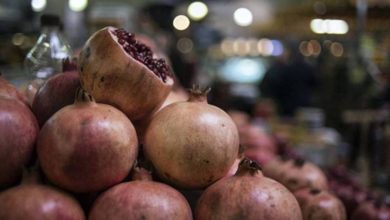 B8F2647A 1CB5 4A5F A095 E67D12021089