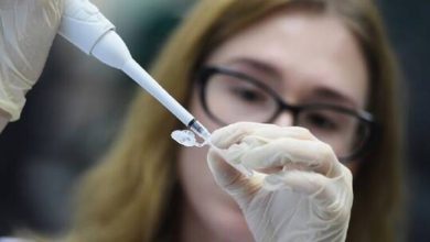 BB7795E6 BC83 4556 934E 3E97364ACCA0