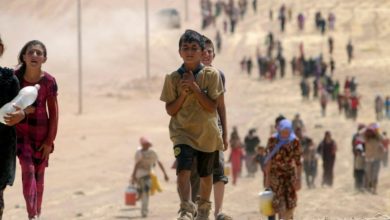 BD02DC06 39C9 478A 9283 EDFB44955787