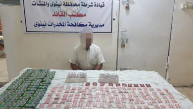 BFA24631 BDEA 4F64 87C6 5875A8584E5F