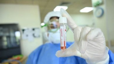 C538BB3D B690 40A5 B2F8 031064502046