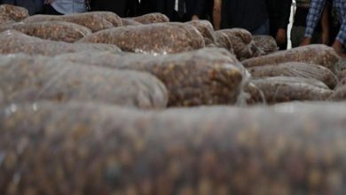 CB3E24F6 C776 46B0 851D 47A4C56BEF64