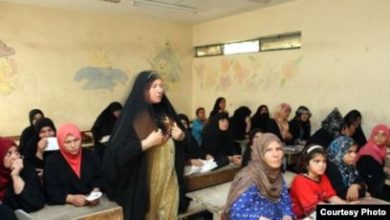 D3E568DA 31BF 4918 BC59 752A5E50DA8D