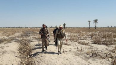 E46BC521 C72E 47A4 A90B D3791C824E96