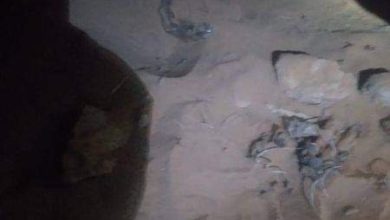 E88923B6 0980 4066 9462 53C424F980EA