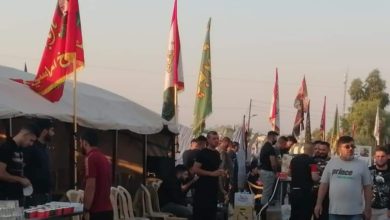 F8F52941 68FC 44A1 9894 DC71541E2704