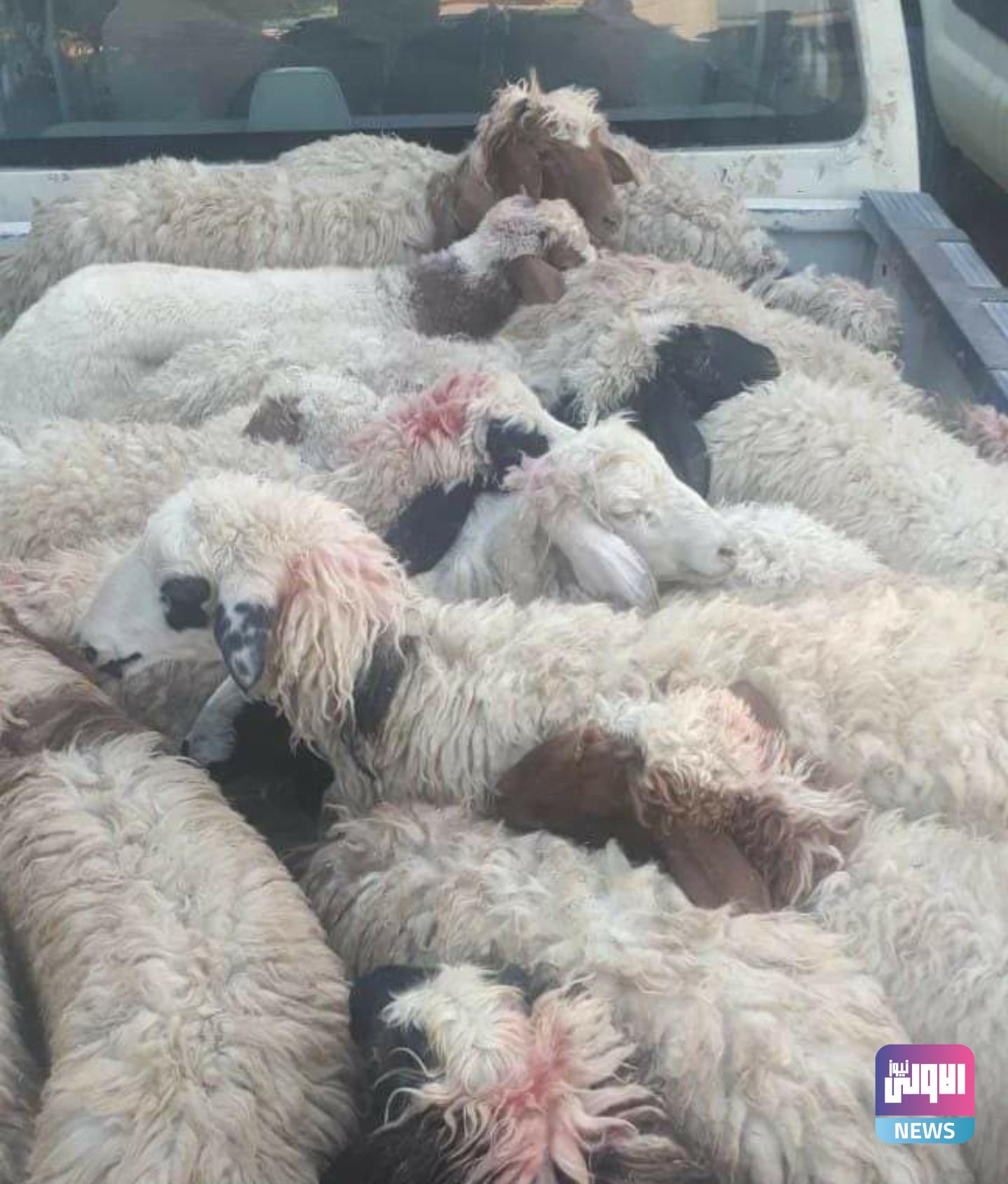 Screenshot ٢٠٢٠١٠١٦ ٠٩٢٨١٦ Facebook