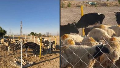 Screenshot ٢٠٢٠١٠٢١ ١١٠٥٥١ Facebook