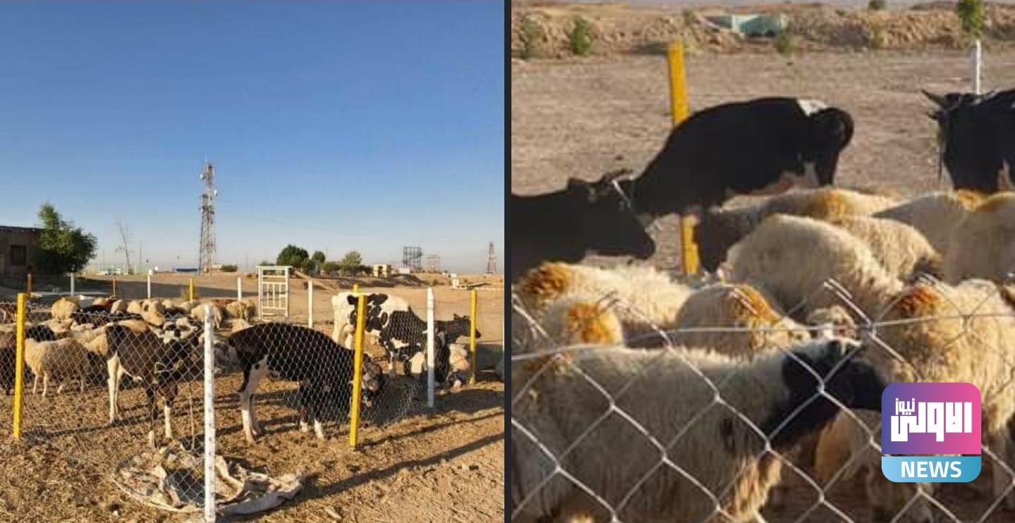 Screenshot ٢٠٢٠١٠٢١ ١١٠٥٥١ Facebook