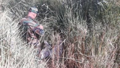 Screenshot ٢٠٢٠١٠٢٢ ١٢٠٥٠٩ Facebook