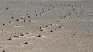 Screenshot ٢٠٢٠١٠٢٤ ٢١٠١٣٦ Chrome