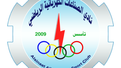 الصناعات الكهربائية