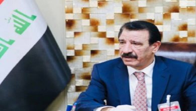 وزير الزراعة محمد كري