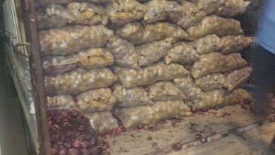 0046417E 45D7 4C46 AD94 D4B530245772