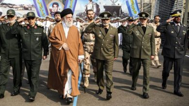 00E93934 D4D9 43EF 834D 7D2B4B070EA8