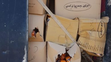 01A789B0 0BC1 427B 89EE DBD816625E2B