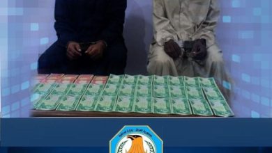 03B1E937 15C4 460A 8352 0FEB57725FA4