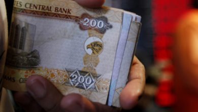 1323112020 5fbbb42f4236040d2c2874a8