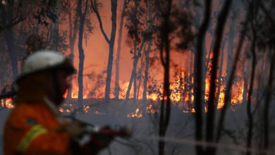 أكثر من 100 حريق يلتهم مئات آلاف الهكتارات في أستراليا بسبب الحر 3 1329112020 5fc360ff4c59b76434028379