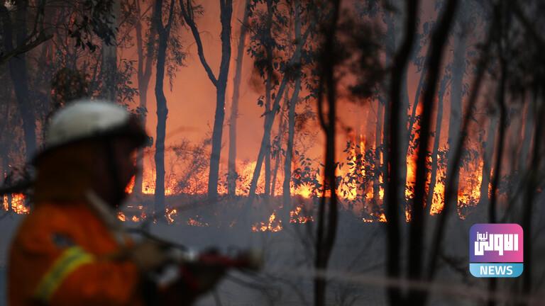 1329112020 5fc360ff4c59b76434028379