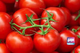 بينها الطماطم والبسكويت.. العراق يستورد بضائع من ايران بقيمة 5 مليارات دولار 1 1429112020 98787