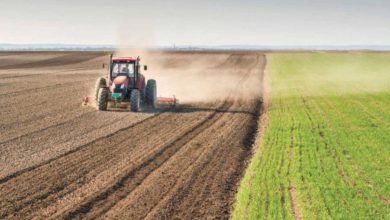 الزراعة النيابية تطالب الحكومة بتنفيذ مذكرات التفاهم والاتفاقيات الخاصة بتطوير القطاع الزراعي والحيواني 3 1519112020 545454