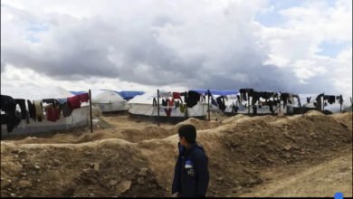 15CBC6BC 4ABA 4B40 97FE 09C52FEA6961