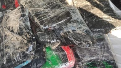 1610112020 1456e13f 9165 40ea 9e3e 70fc5076f3d2