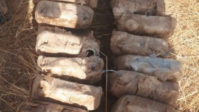 167112020 03f2a9a6 5533 4404 9de4 45d2eaaae8dd