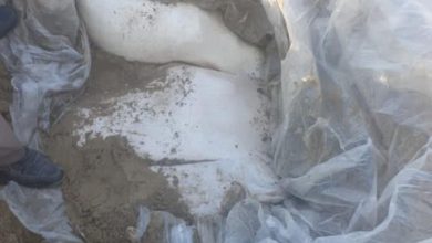 1726112020 c6e3e86a b59a 4894 bc6e 5d7ba5146261