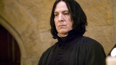 176 100851 alan rickman diaries 700x400