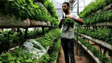 1A478EB0 4B6A 4DE7 A6C0 8205FCC33EDA