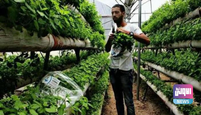 1A478EB0 4B6A 4DE7 A6C0 8205FCC33EDA