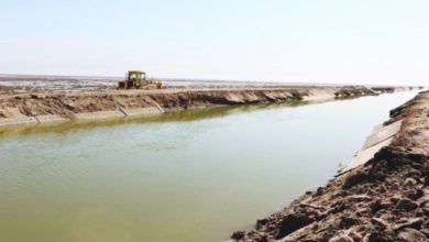 1D1D9DDD 96D7 4ADB 9821 533D91C1B938