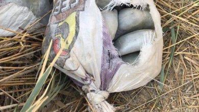 204112020 ED2F75C9 44AB 47EE 98BB A64B5F4033AF