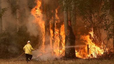 20C6D4F1 7D1A 44FD 84A5 22D832ABE658