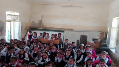 24ECE4DE A026 4B42 941B 6AC1F644040D