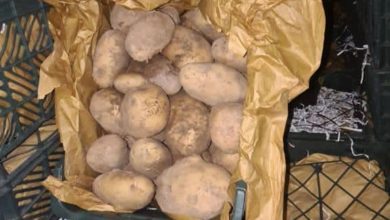 24FF6768 8B44 4BF9 B7A9 2C145AABA8D4