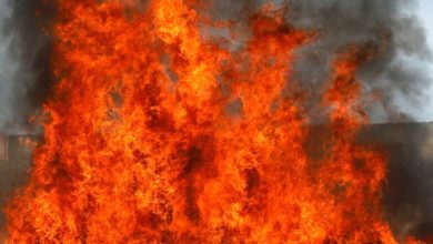 وفاة شخصين وإجلاء العشرات في حرائق ضخمة بغابات تيبازة في الجزائر 3 29444E9B 35FE 40C2 978C D4D9B9A56AF9