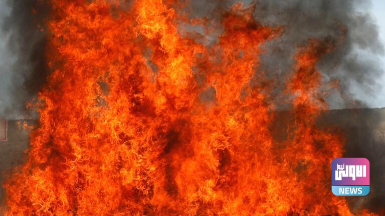 29444E9B 35FE 40C2 978C D4D9B9A56AF9