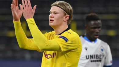 3527257 erling haaland