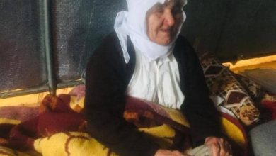 3557A308 5420 4F16 83EA B7D006FD31B6