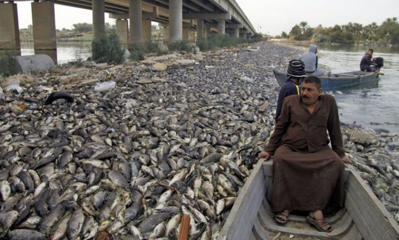 3817EA0F E877 4C07 9DE4 ABA8F3C8EAF8