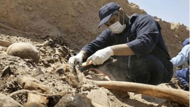 3B2A8A8E 2926 4871 B80E 6F3EAC38A971